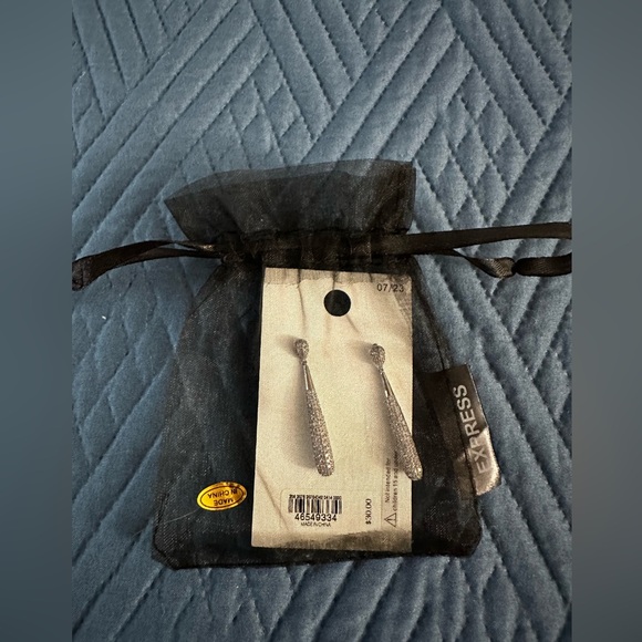 Express Rhinestone Tube Drop Earrings - Picture 4 of 5